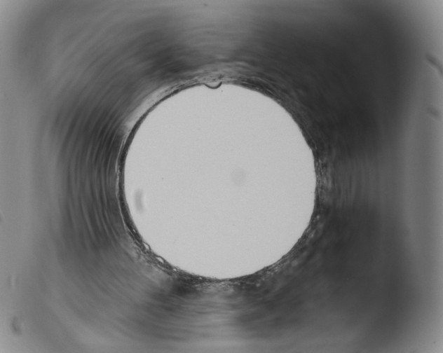 X0000103490100200810241111