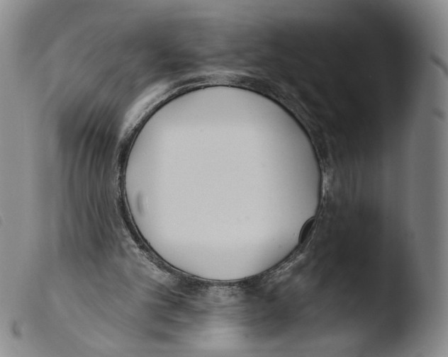 X0000103490101200810241111