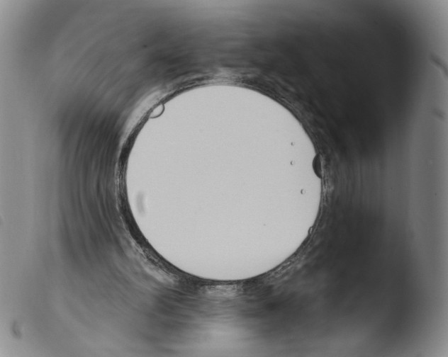 X0000103490102200810241111