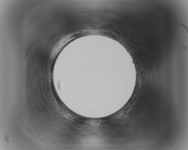 X0000103490103200810241110