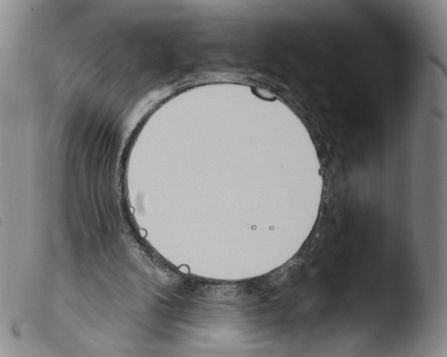X0000103490104200810241110