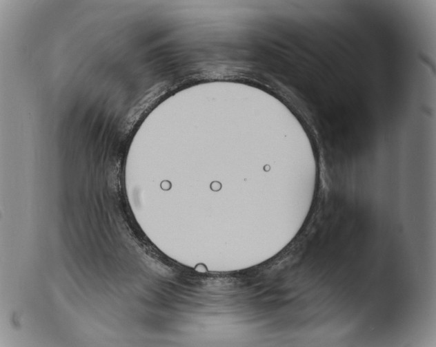 X0000103490105200810241110