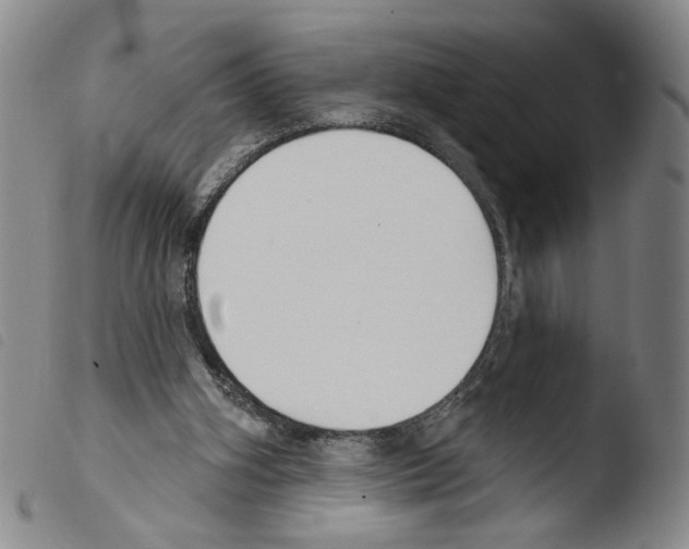 X0000103490106200810241110
