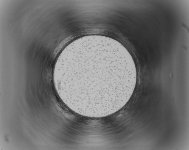 X0000103490107200810241110