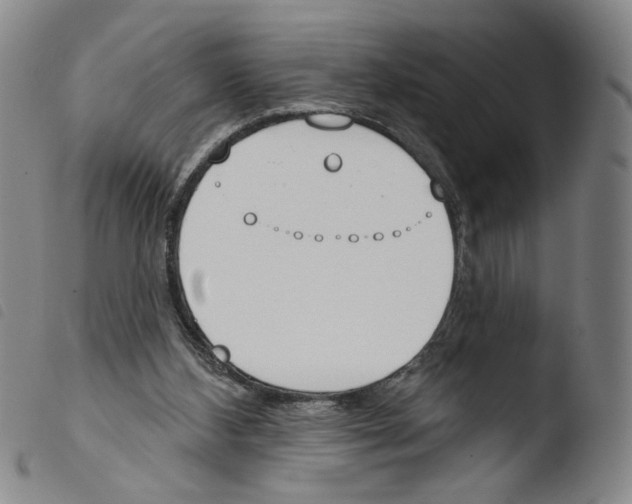 X0000103490108200810241110