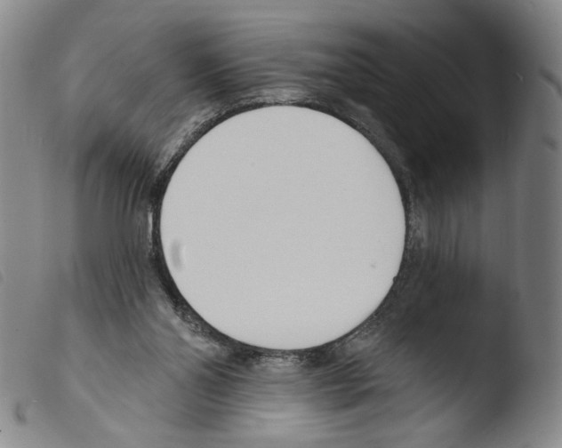 X0000103490110200810241110