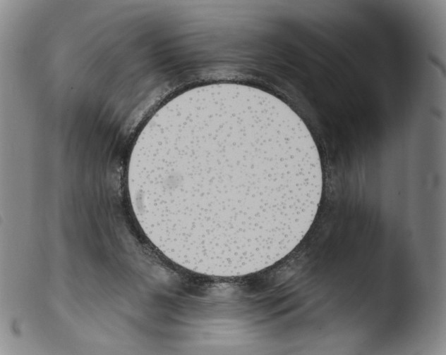 X0000103490111200810241110
