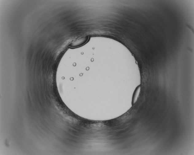 X0000103490112200810241110