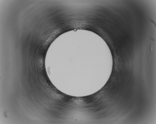 X0000103490113200810241110