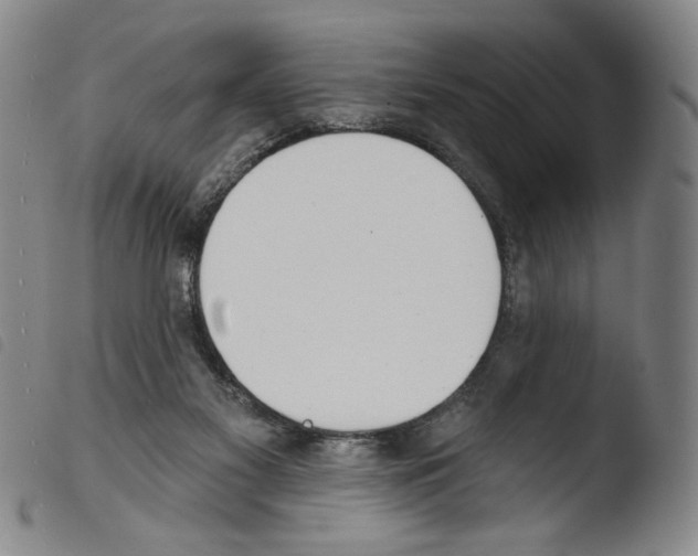 X0000103490117200810241110