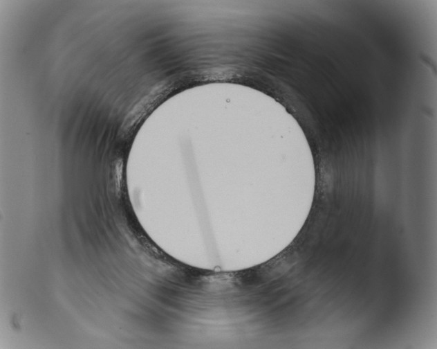 X0000103490118200810241110