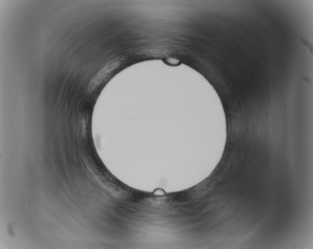 X0000103490120200810241110