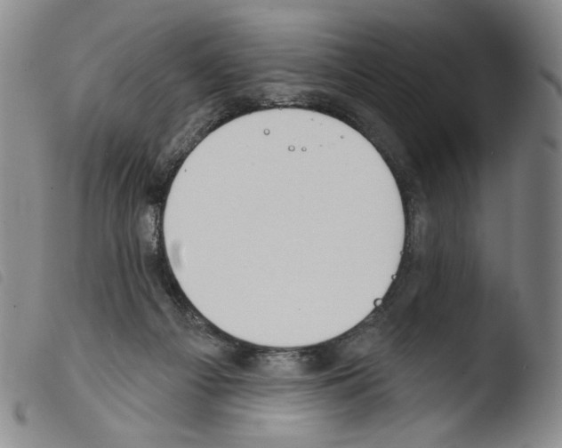 X0000103490121200810241110