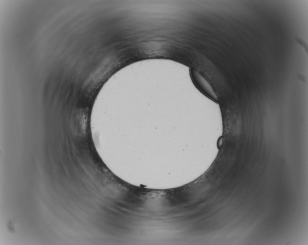 X0000103490124200810241110