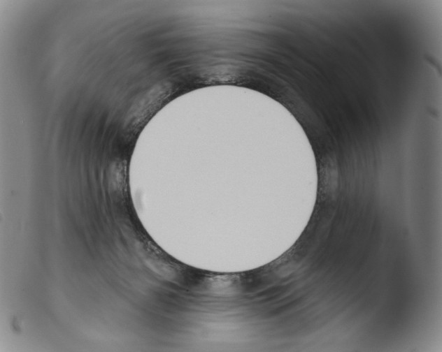 X0000103490126200810241110