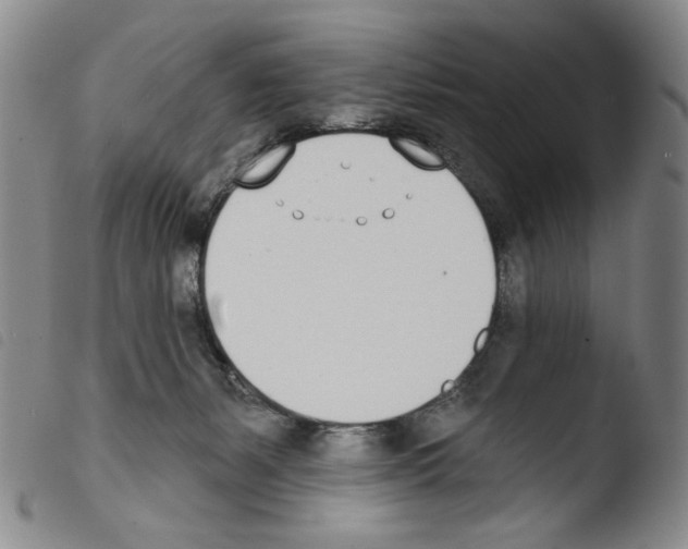 X0000103490127200810241110
