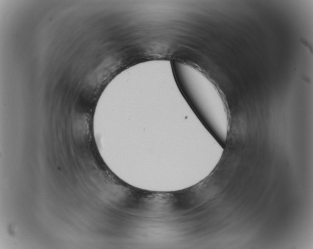 X0000103490128200810241110