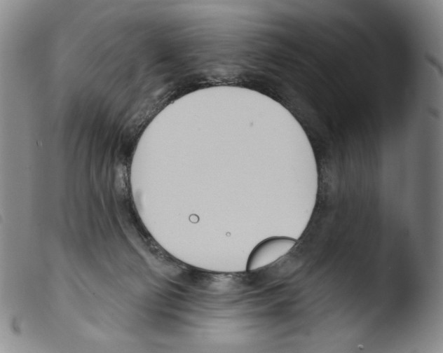 X0000103490130200810241110