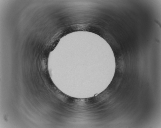 X0000103490131200810241110