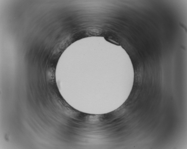 X0000103490134200810241110