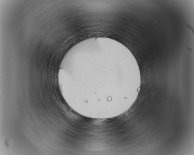 X0000103490136200810241110
