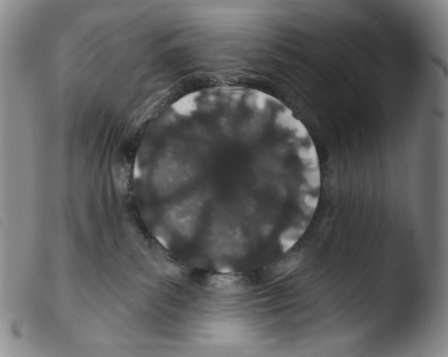 X0000103490139200810241110