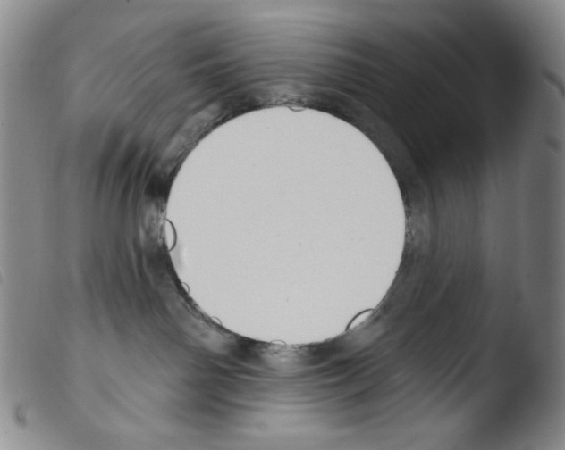 X0000103490142200810241110