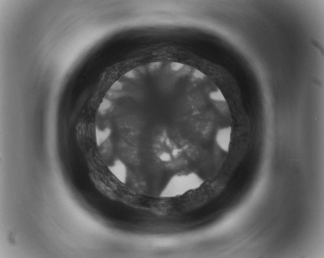 X0000103490143200810241110