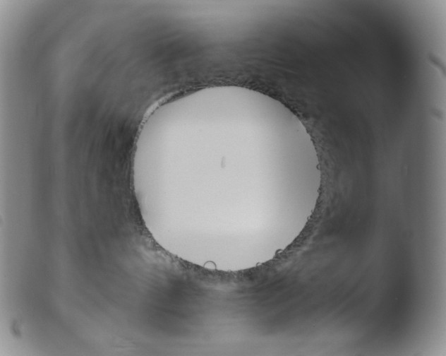 X0000103490144200810241110