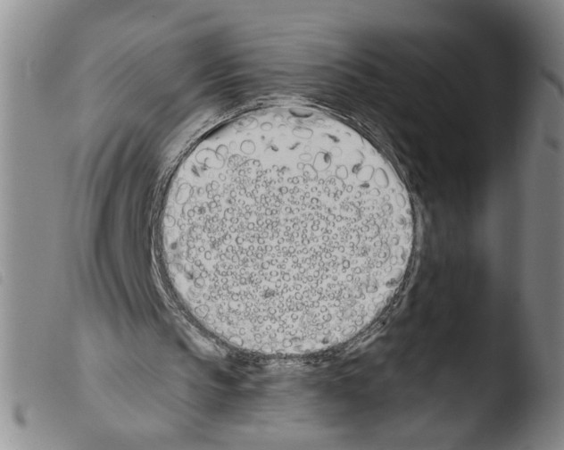 X0000103490145200810241109