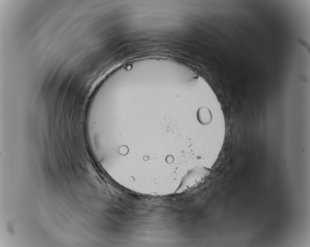 X0000103490146200810241109