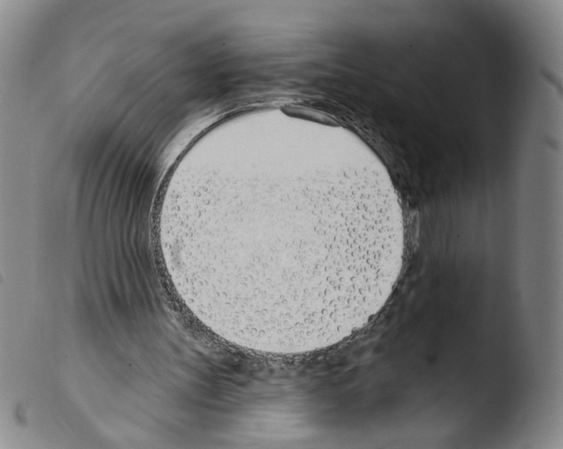X0000103490147200810241109