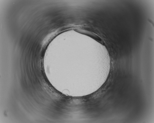X0000103490149200810241109