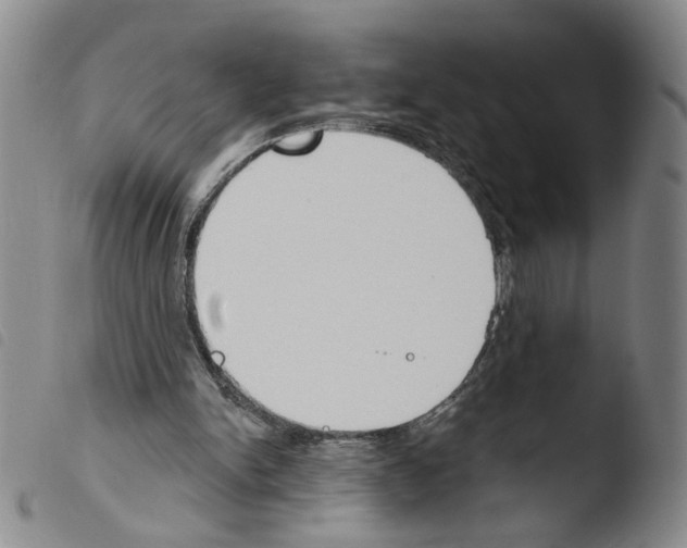 X0000103490150200810241109
