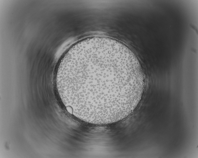 X0000103490151200810241109