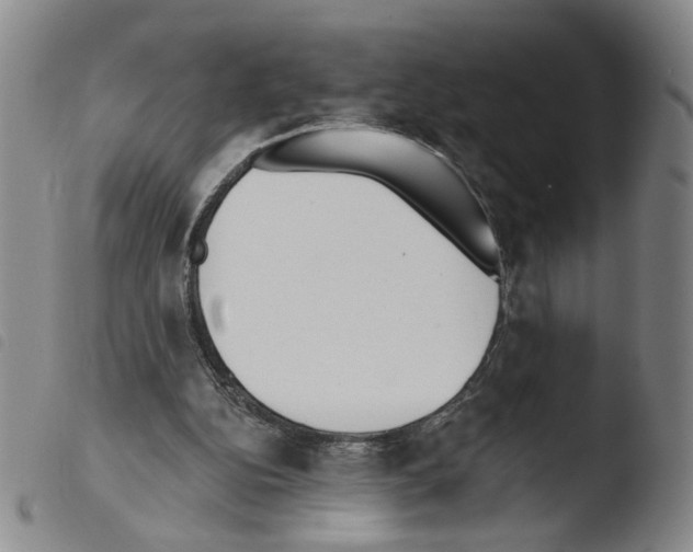 X0000103490152200810241109