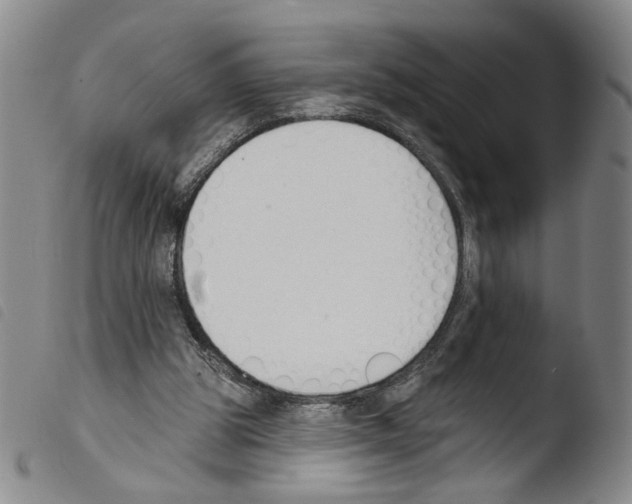 X0000103490153200810241109