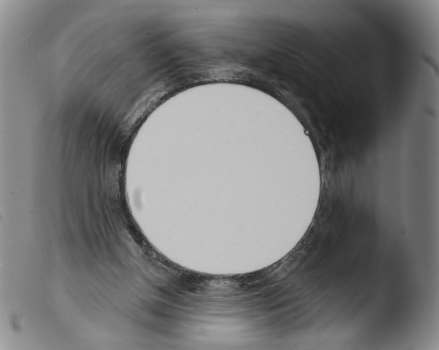X0000103490154200810241109