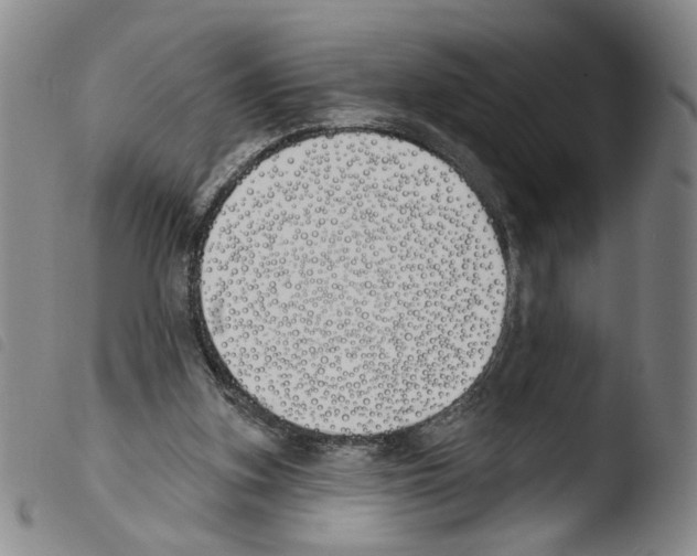 X0000103490155200810241109