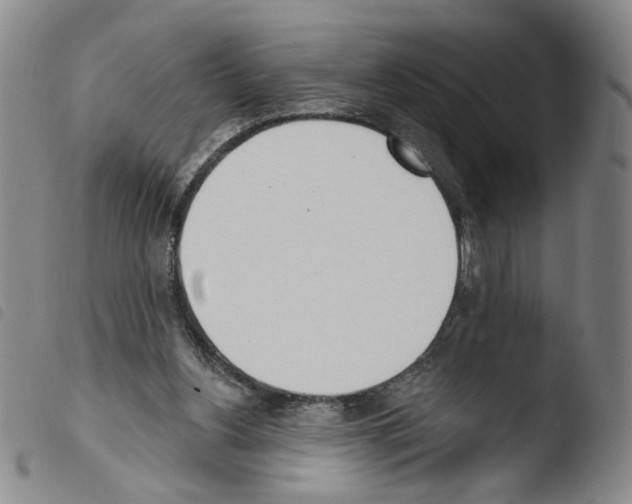 X0000103490156200810241109