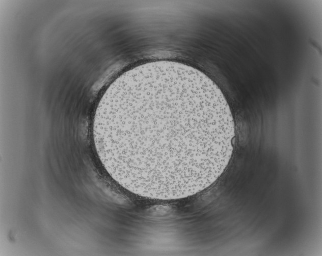 X0000103490159200810241109