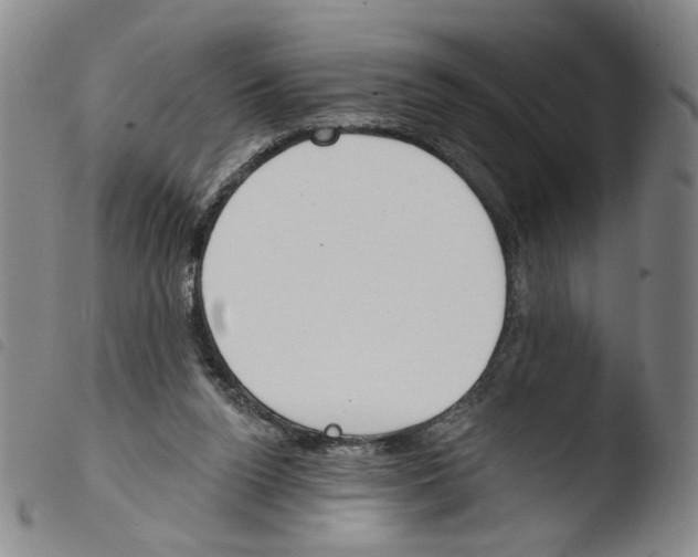 X0000103490160200810241109