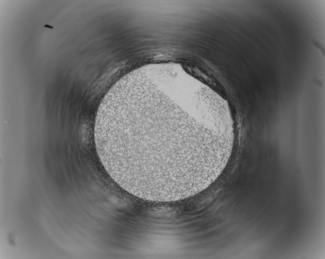 X0000103490161200810241109