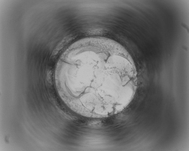 X0000103490162200810241109