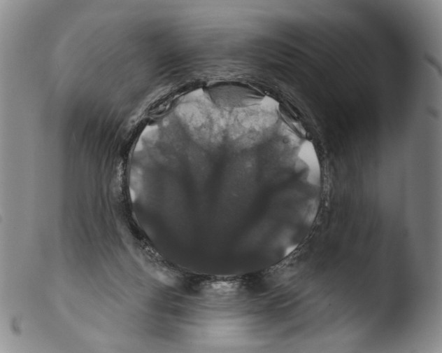 X0000103490163200810241110