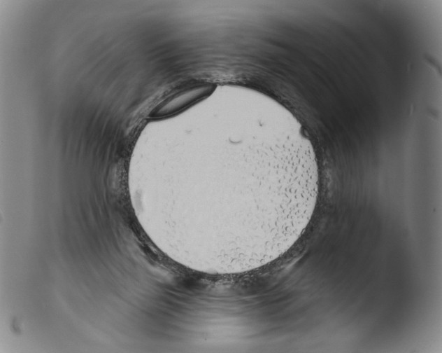 X0000103490165200810241110