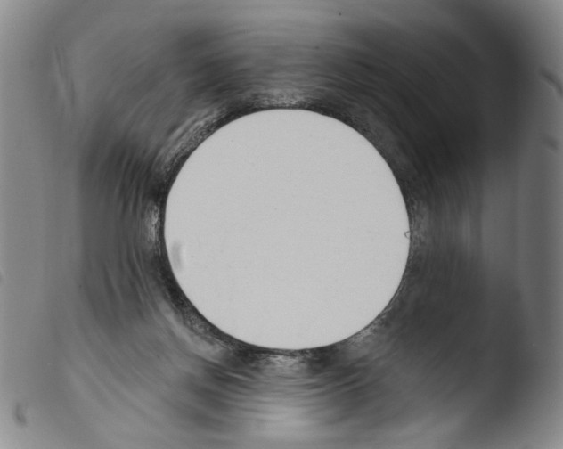 X0000103490166200810241110
