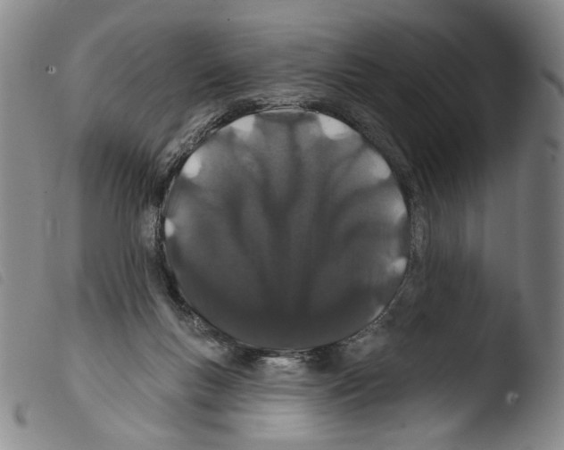 X0000103490167200810241110