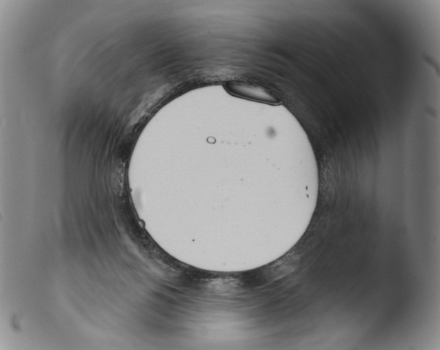X0000103490168200810241110