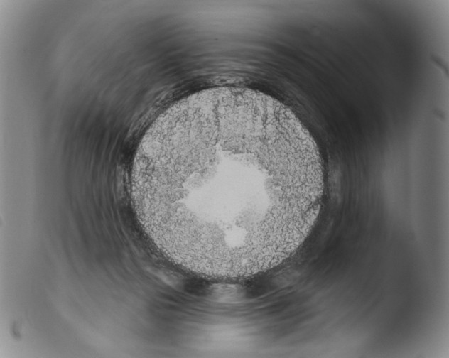 X0000103490169200810241110